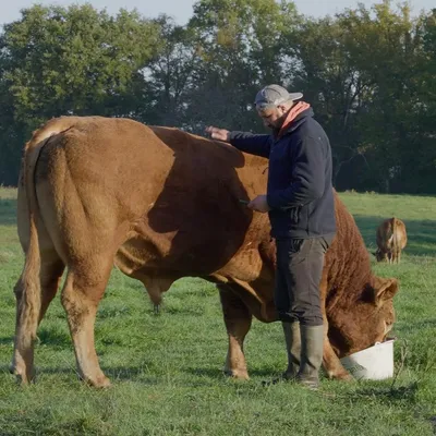 "Avec le film "Rural", je suis plus utile à raconter ceux qui nous...