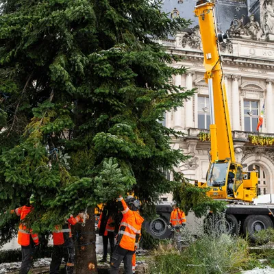 La Ville de Tours à la recherche de son sapin de Noël