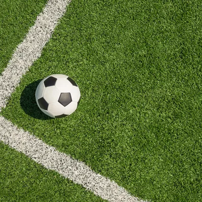 Le Mans va-t-il jouer en Ligue 1 la saison prochaine ? Il va...