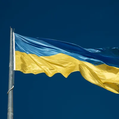 4 ans de guerre en Ukraine : des rassemblements de soutien dans nos...