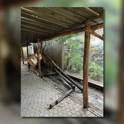 Victime des violents orages, le Zoo de La Flèche fermé