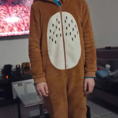 Disparition inquiétante d'un enfant de 10 ans à Donchery