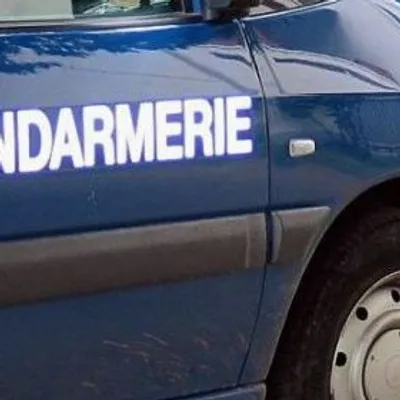 Il encourt la réclusion criminelle à perpétuité