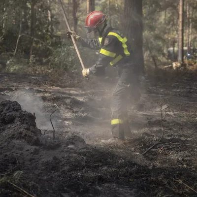 Ardennes - Incendies en France : de nouveaux renforts arrivent sur...