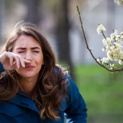 La saison des pollens de bouleau démarre avec près de 3 semaines...