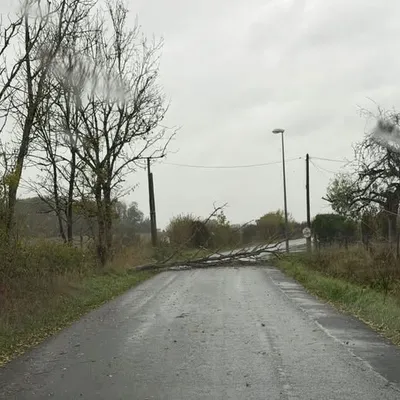 Ardennes – Plusieurs dégâts ce vendredi à cause des vents violents