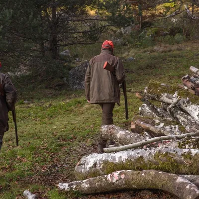 Ardennes – Ouverture officielle de la saison de chasse ce dimanche