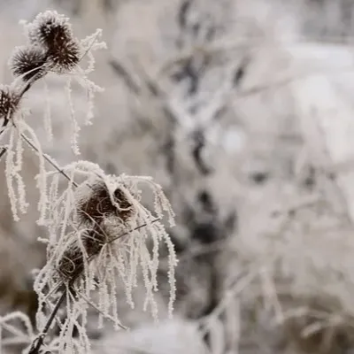 Retour du froid dans la région : vigilance jaune neige et verglas...