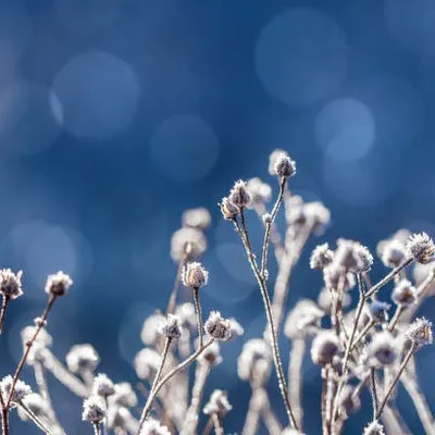 Retour du froid : les températures vont chuter la nuit prochaine