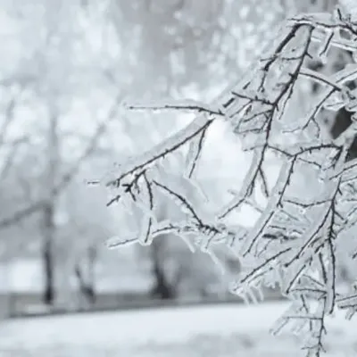 Plan grand froid : niveau jaune activé dans les Ardennes