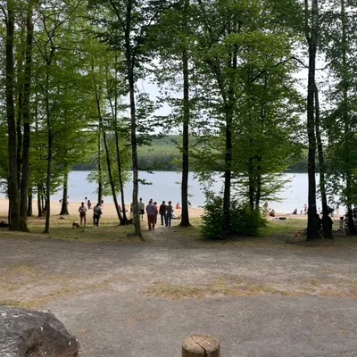 Ardennes - Baignade interdite sur les lacs de Bairon et des...