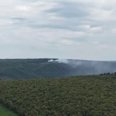 Ardennes - Feu de forêt : Un hectare ravagé par les flammes à...