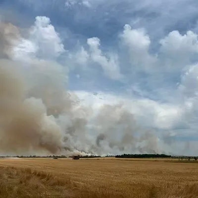Ardennes - Les pompiers mobilisés sur une série de feux de récolte...