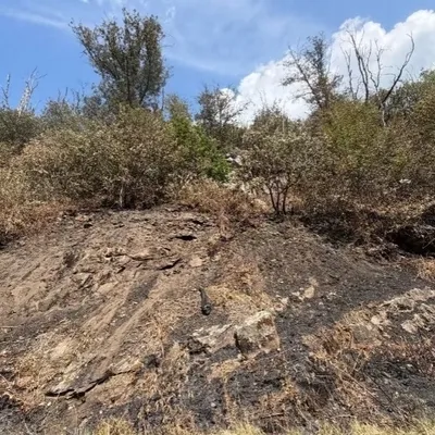 Ardennes - Monthermé : le feu de forêt est désormais totalement éteint