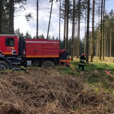 Champagne-Ardenne - Alerte orange « feux de forêts » ce mercredi