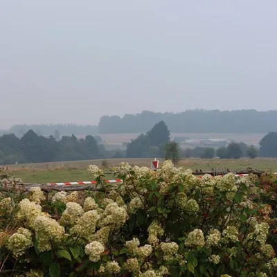 Ardennes - Incendie de Monthermé : Des mesures d’urgence prises...