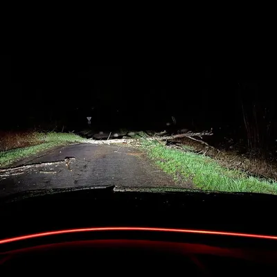 Tempête : plusieurs arbres couchés sur les routes