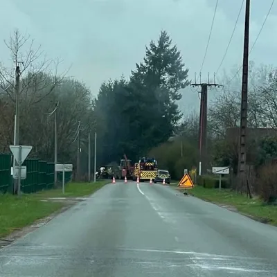 60 bovins sauvés des flammes par des témoins