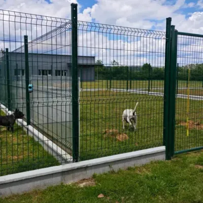 Ardennes - Le refuge la LISA est saturé face aux abandons