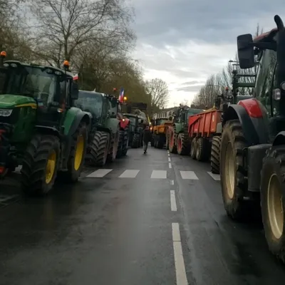 Accord avec le Mercosur : "une douche froide" pour les agriculteurs