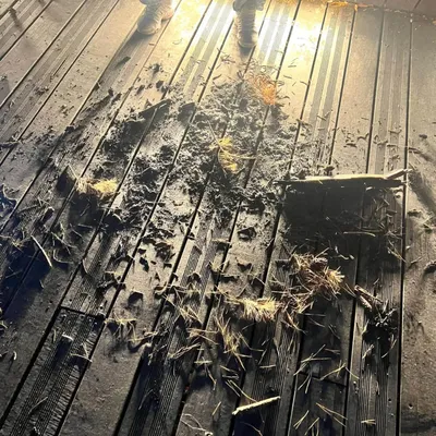Ardennes - Deux jeunes interpellés après des dégradations et un...