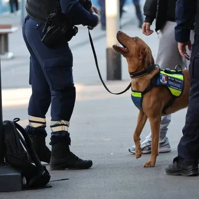 Opération de sécurisation en gare de Charleville-Mézières