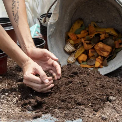 Du compost à récupérer gratuitement en déchèterie 