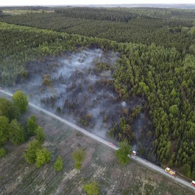 Feu de forêt : 9 hectares brûlés, près de 80 pompiers mobilisés