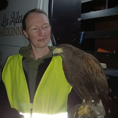 Ardennes - Des rapaces pour faire peur aux oiseaux