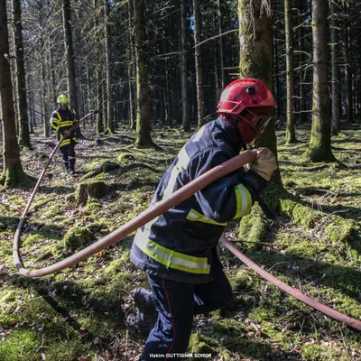 Ardennes - Feux de forêt : l'ONF appelle à la vigilance