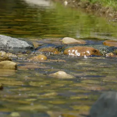 Ardennes - La sécheresse bouleverse les activités touristiques