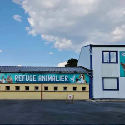 Il n'y a plus de place au refuge