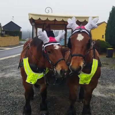 Il sera encore plus grand cette année ! 