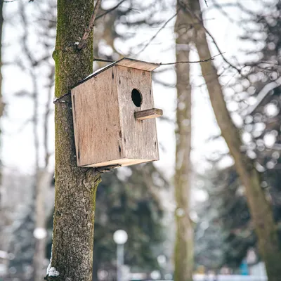Déposez un nichoir dans ce parc animalier