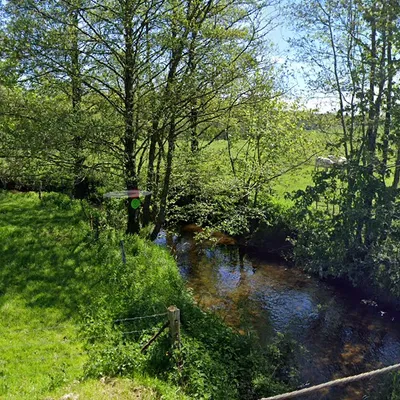 Ardennes - La consommation des poissons interdite dans une rivière...