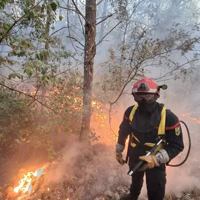 Champagne Ardenne - Les pompiers de la région sont toujours en...
