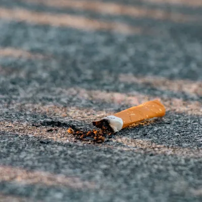 Journée sans tabac : une première étape vers l'arrêt complet de la...