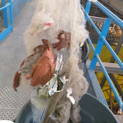 Attention à le jeter dans la bonne poubelle