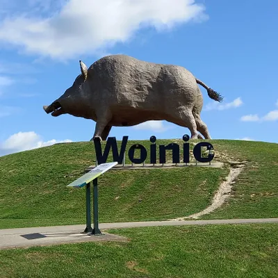 Ardennes - Woinic, le plus grand sanglier du monde fête ses 18 ans
