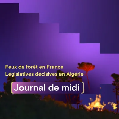 Feux de forêt dans le sud de la France, élections législatives...