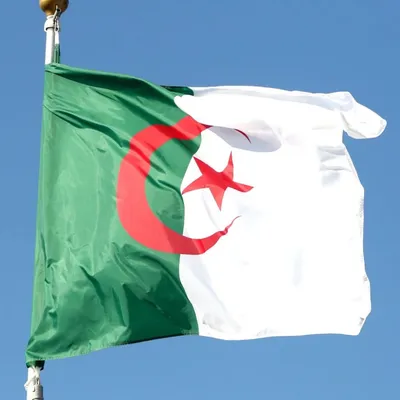 GRAND ANGLE AVEC Fadila Mehal Sur les tensions entre Paris et Alger