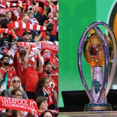 CHAN, basket, tennis : l’Algérie brille, les Bleus se rodent,...