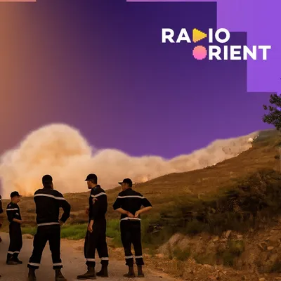 Incendies en Algérie : entre catastrophe climatique et soupçons...