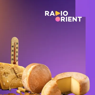 Quand le climat devient un risque de crédit pour le fromage italien