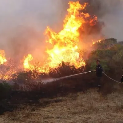 Algérie : la peine capitale étendue aux incendiaires de forêts