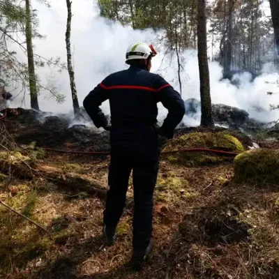 Incendie de Fontainebleau : les pompiers restent mobilisés, quatre...