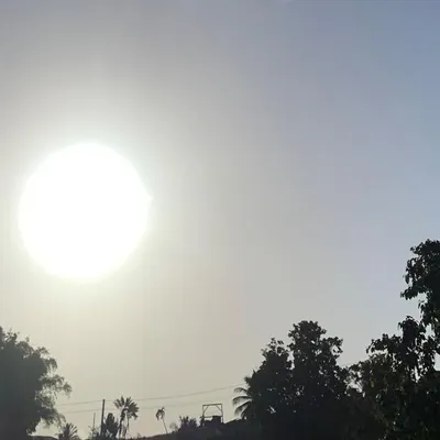 Chaleur extrême : 4 départements en alerte rouge, la France vit une...