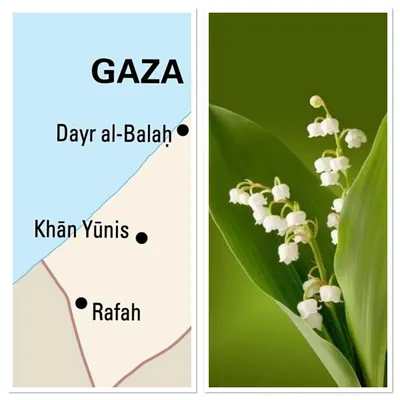 LE JOURNAL EN LANGUE ARABE DU SOIR DU 30/04/24