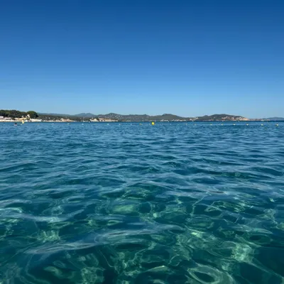 Méditerranée : cultiver pour reconstruire le lien