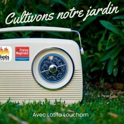 Couscous de saison : marché local et cuisine du Maghreb